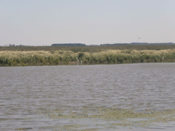 hortobagy20140616_22