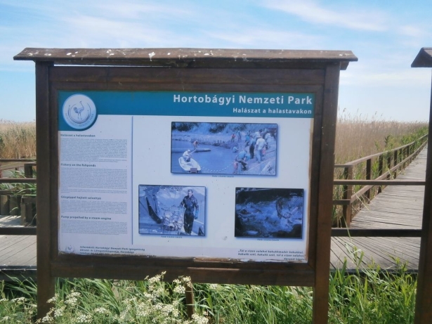 hortobagy20140616_34