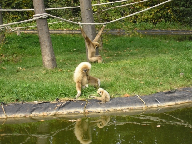 Együtt a család